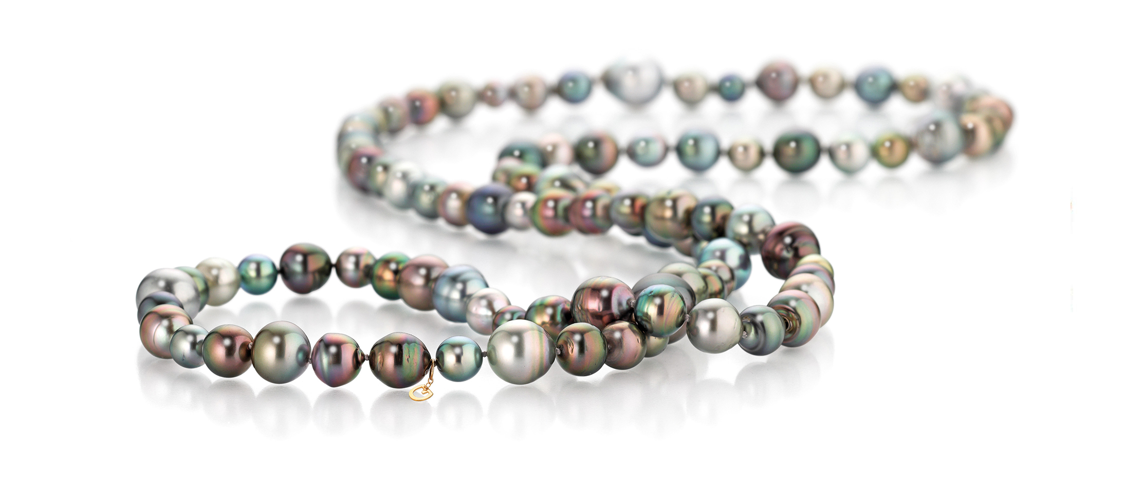gellner-header gellner-header